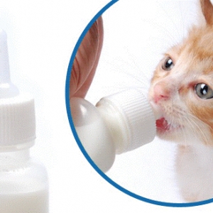 НОВОРОЖДЕННЫМ:Молоко (заменитель ) для котят/ щенков и др.товары