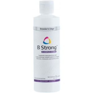 Breeder's Edge® B Strong™ Liquid B-Complex Vitamins Жидкость с Витаминами В, аминокислотами, минералами д/собак/кошек, 237 мл. (США)